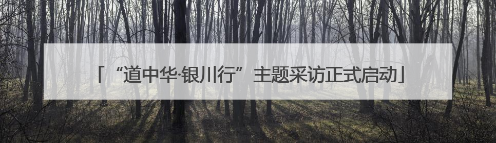 “道中华·银川行”主题采访正式启动