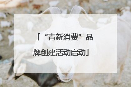 “青新消费”品牌创建活动启动