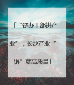 “链办干部讲产业”，长沙产业“链”就高质量