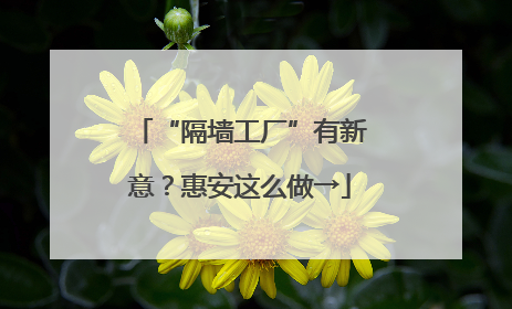 “隔墙工厂”有新意？惠安这么做→