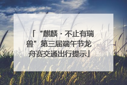 “麒麟・不止有瑞兽”第三届端午节龙舟赛交通出行提示