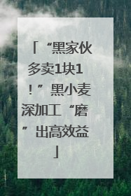 “黑家伙多卖1块1！”黑小麦深加工“磨”出高效益