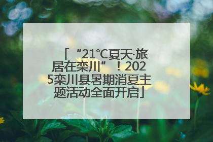 “21℃夏天·旅居在栾川”！2025栾川县暑期消夏主题活动全面开启