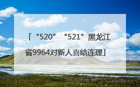 “520”“521”黑龙江省9964对新人喜结连理