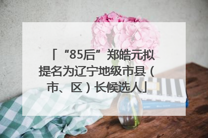 “85后”郑皓元拟提名为辽宁地级市县（市、区）长候选人