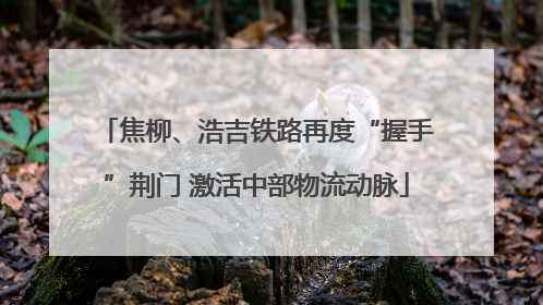 焦柳、浩吉铁路再度“握手”荆门 激活中部物流动脉