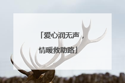 爱心润无声，情暖救助路