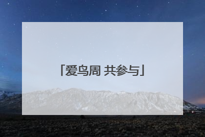 爱鸟周 共参与