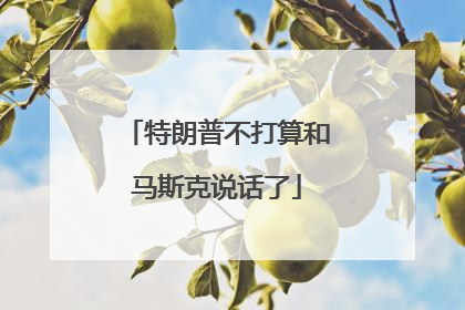 特朗普不打算和马斯克说话了