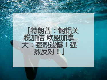 特朗普：钢铝关税加倍 欧盟加拿大：强烈遗憾！强烈反对！