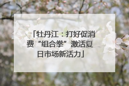 牡丹江：打好促消费“组合拳”激活夏日市场新活力