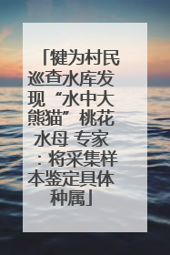 犍为村民巡查水库发现“水中大熊猫”桃花水母 专家：将采集样本鉴定具体种属