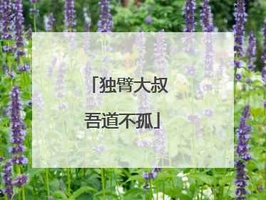 独臂大叔 吾道不孤