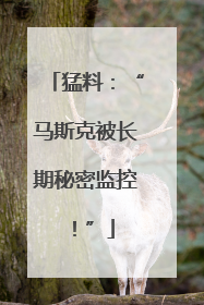 猛料：“马斯克被长期秘密监控！”