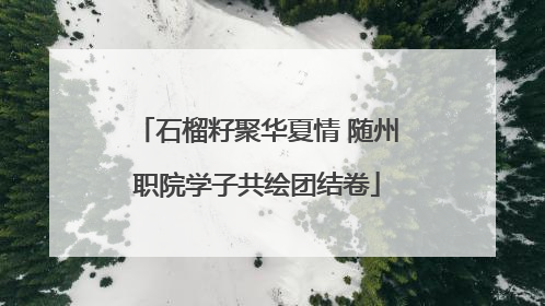 石榴籽聚华夏情 随州职院学子共绘团结卷