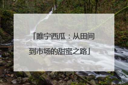 睢宁西瓜：从田间到市场的甜蜜之路