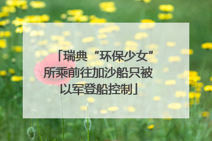 瑞典“环保少女”所乘前往加沙船只被以军登船控制