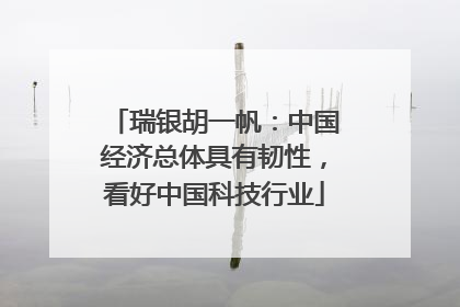 瑞银胡一帆：中国经济总体具有韧性，看好中国科技行业