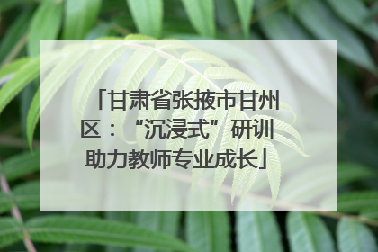 甘肃省张掖市甘州区：“沉浸式”研训助力教师专业成长