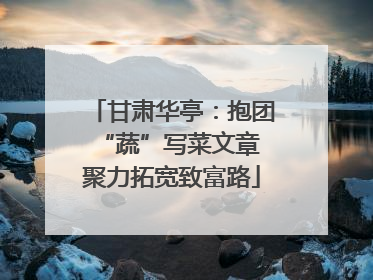 甘肃华亭：抱团“蔬”写菜文章 聚力拓宽致富路