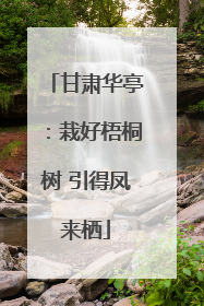 甘肃华亭：栽好梧桐树 引得凤来栖
