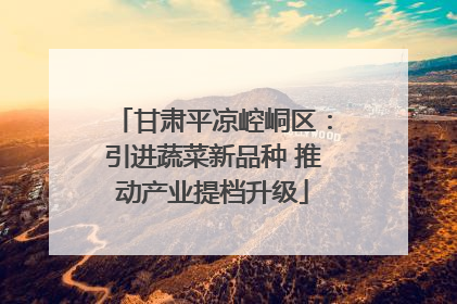 甘肃平凉崆峒区：引进蔬菜新品种 推动产业提档升级