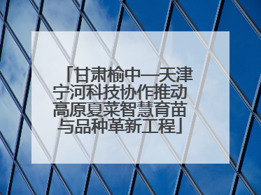 甘肃榆中—天津宁河科技协作推动高原夏菜智慧育苗与品种革新工程
