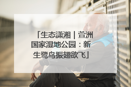 生态潇湘｜萱洲国家湿地公园：新生鹭鸟振翅欲飞