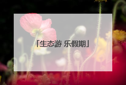 生态游 乐假期