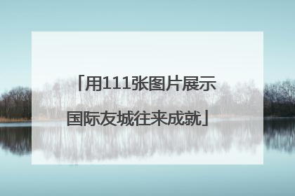 用111张图片展示国际友城往来成就