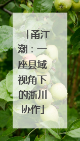 甬江潮：一座县域视角下的浙川协作