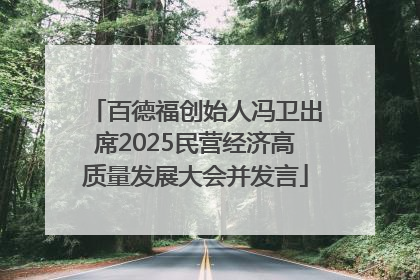 百德福创始人冯卫出席2025民营经济高质量发展大会并发言