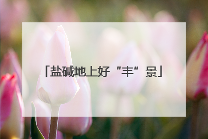 盐碱地上好“丰”景