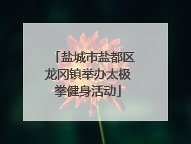 盐城市盐都区龙冈镇举办太极拳健身活动