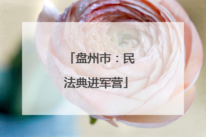 盘州市：民法典进军营