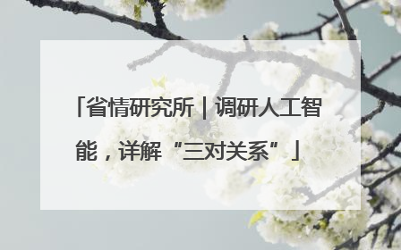 省情研究所｜调研人工智能，详解“三对关系”