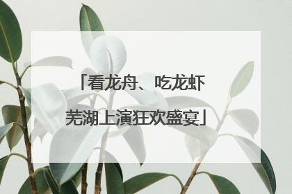 看龙舟、吃龙虾 芜湖上演狂欢盛宴