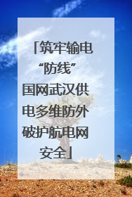 筑牢输电“防线” 国网武汉供电多维防外破护航电网安全