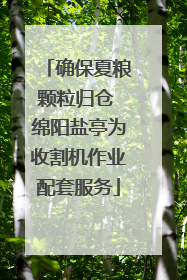 确保夏粮颗粒归仓 绵阳盐亭为收割机作业配套服务