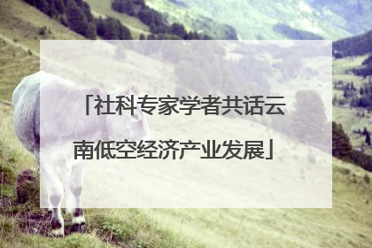 社科专家学者共话云南低空经济产业发展