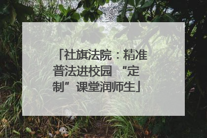 社旗法院：精准普法进校园 “定制”课堂润师生
