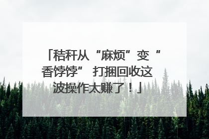 秸秆从“麻烦”变“香饽饽” 打捆回收这波操作太赚了！