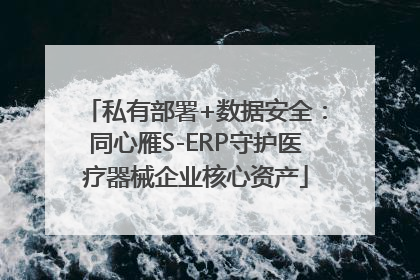 私有部署+数据安全：同心雁S-ERP守护医疗器械企业核心资产