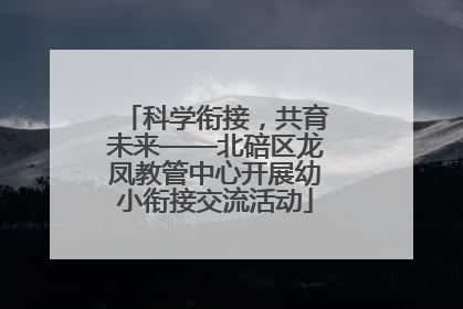 科学衔接，共育未来——北碚区龙凤教管中心开展幼小衔接交流活动