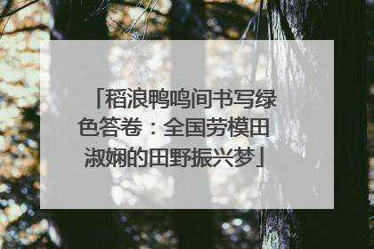 稻浪鸭鸣间书写绿色答卷：全国劳模田淑娴的田野振兴梦