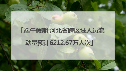 端午假期 河北省跨区域人员流动量预计6212.67万人次