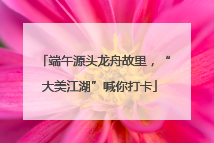 端午源头龙舟故里，“大美江湖”喊你打卡
