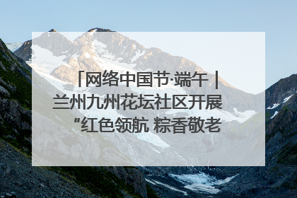 网络中国节·端午｜兰州九州花坛社区开展“红色领航 粽香敬老”端午主题活动