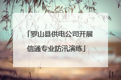 罗山县供电公司开展信通专业防汛演练