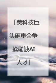 美科技巨头砸重金争抢稀缺AI人才